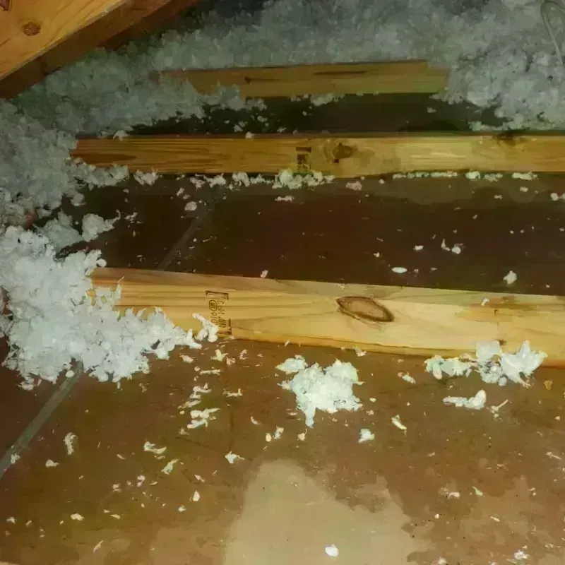 Attic Water Damage in Brookshire, TX