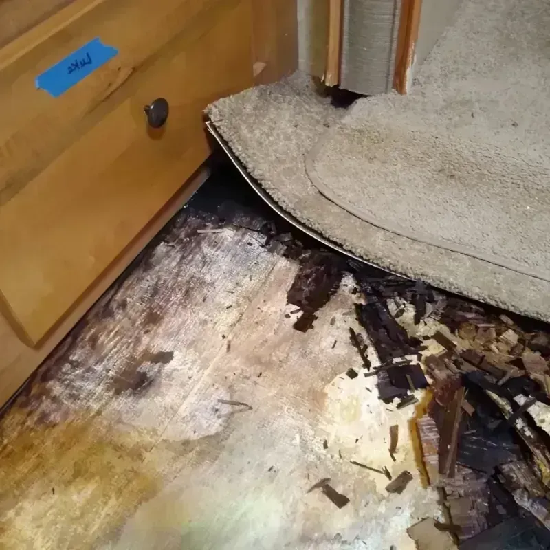 Wood Floor Water Damage in Brookshire, TX